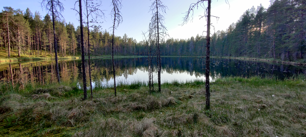 Kangaslampi (74.081.1.011)-Lammen itäpää-ObsIMG-202307102121-64ac4c24816ab.png