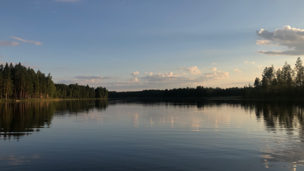 Valkeajärvi (14.515.1.001)-Havaintopaikka 1-ObsIMG-202208160156-62facf4dd7a75.png