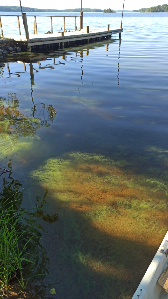 Saimaa (04.112.1.001)-Havaintopaikka 2-ObsIMG-202206301045-62bdd45fdc8c7.png