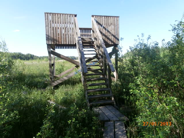 Tuusulanjarven lintutorni.JPG