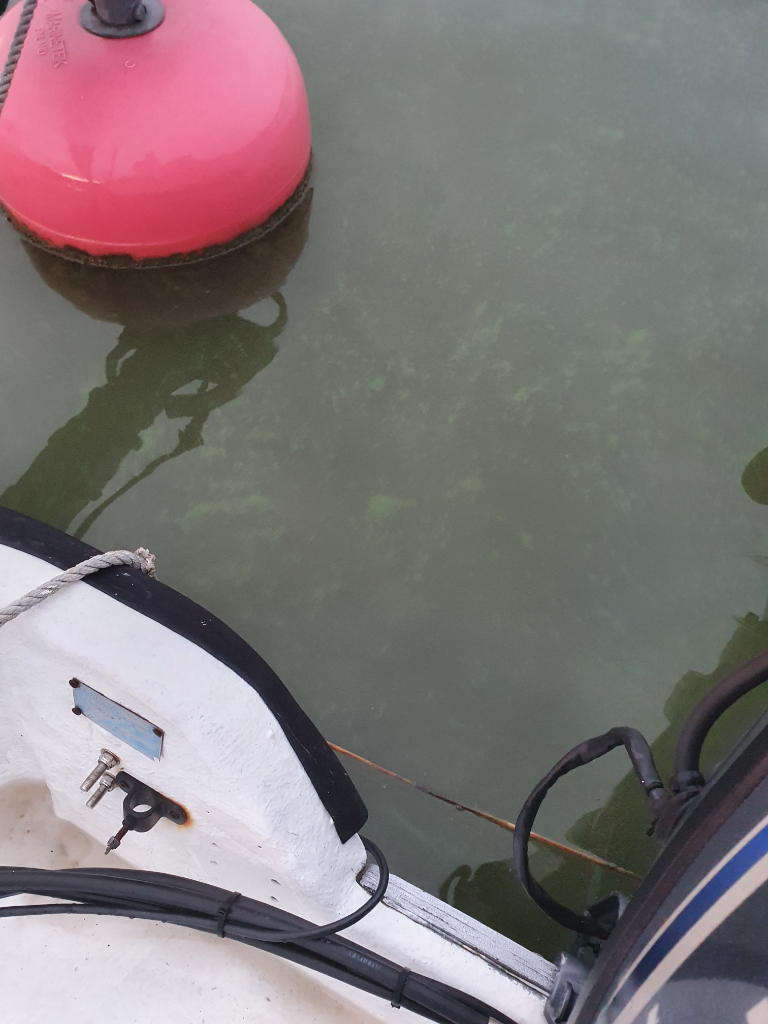 Kuusiston salmet ja Piikkiönlahti-Hovirinnan uimaranta-ObsALG-202108052211-610c380b9e532.png