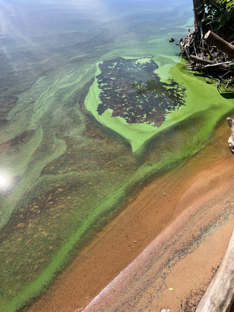 Oulujärvi (yhd.)-Paljakantörmä-ObsIMG-202307121831-64aec7f47e116.png