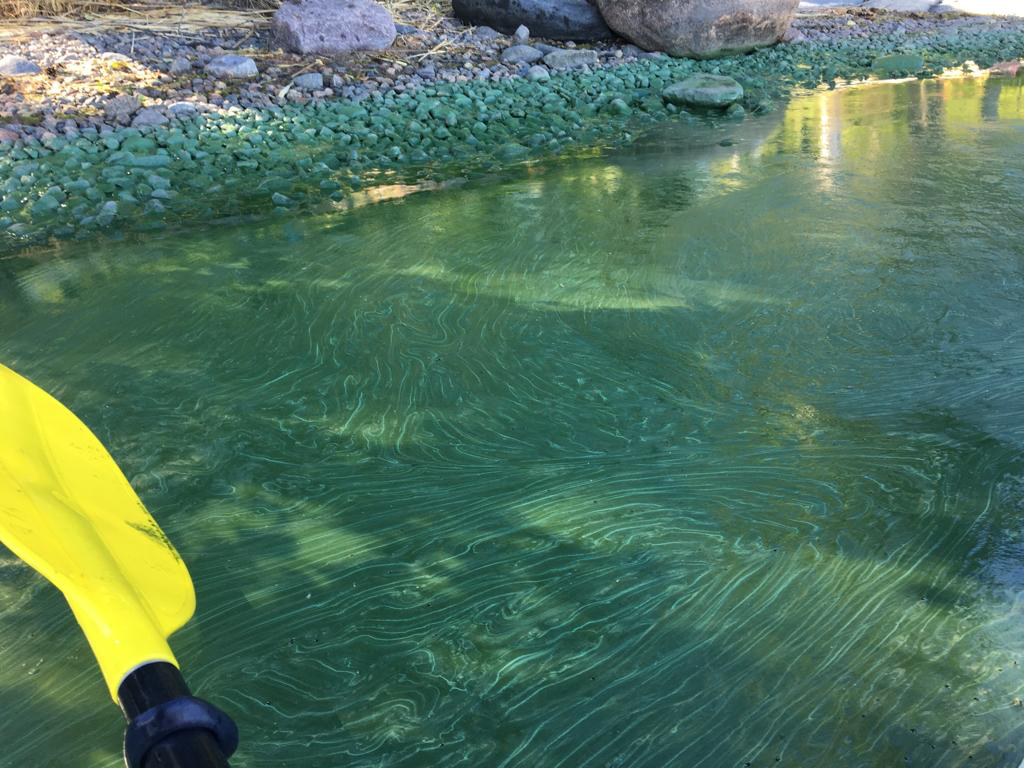 Seurasaari-Didrichsen taidemuseon ranta-ObsIMG-202207081133-62c86b5571c67.png