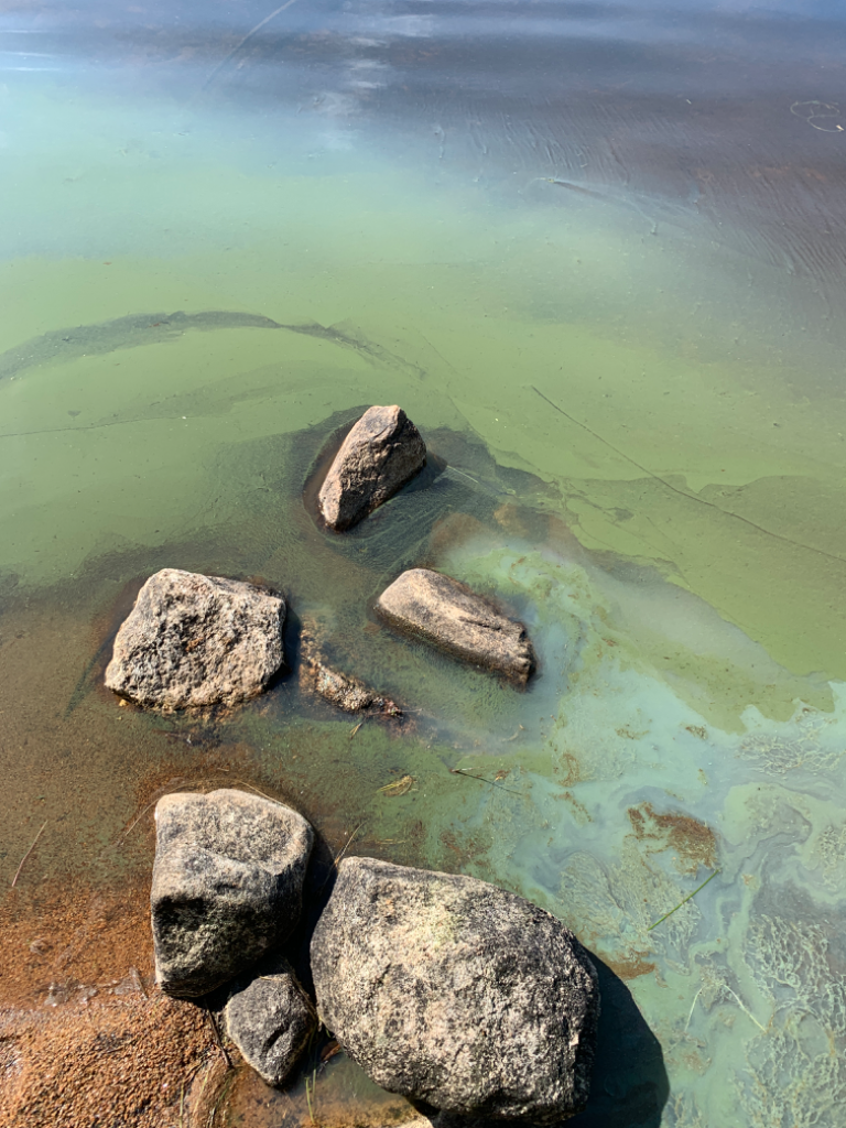 Ala-Suolijärvi - Oivanjärvi (65.392.1.001)-Ämmänniemi-ObsALG-202307281330-64c3993f29c2a.png