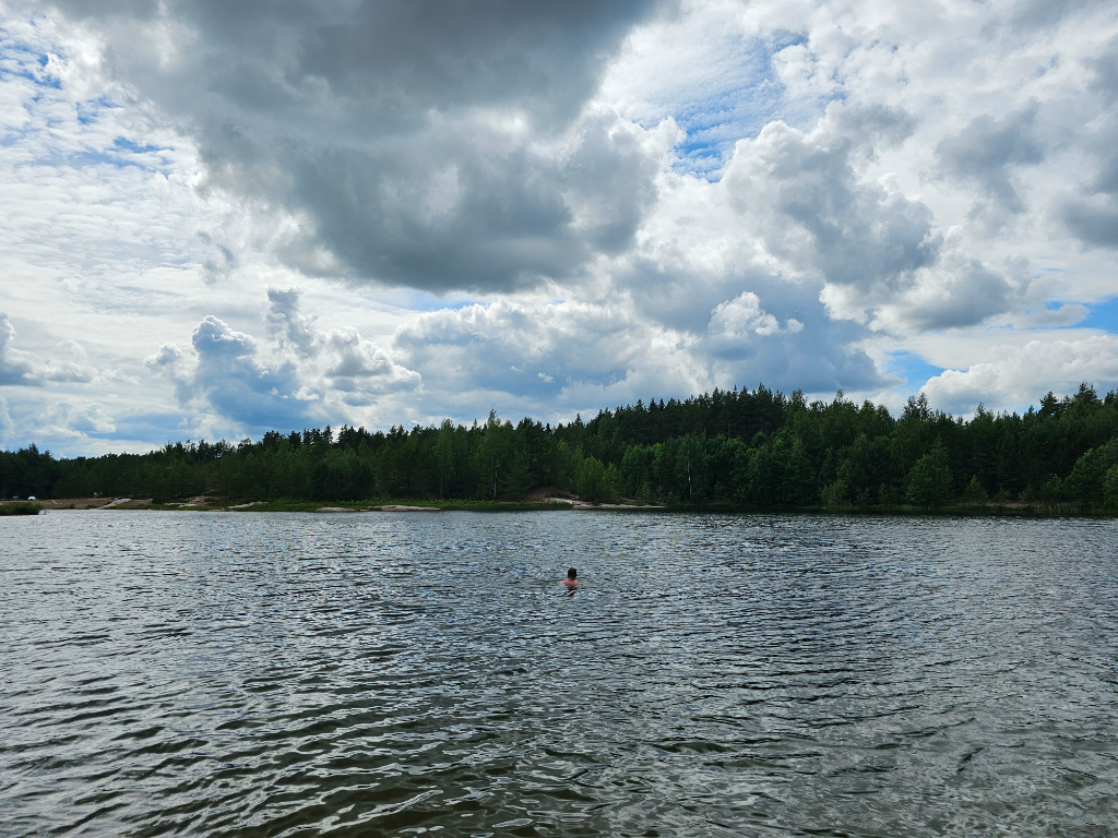 Havainto-Vahdon hiekkakuopat-ObsIMG-202306301030-64a276450cb3a.png