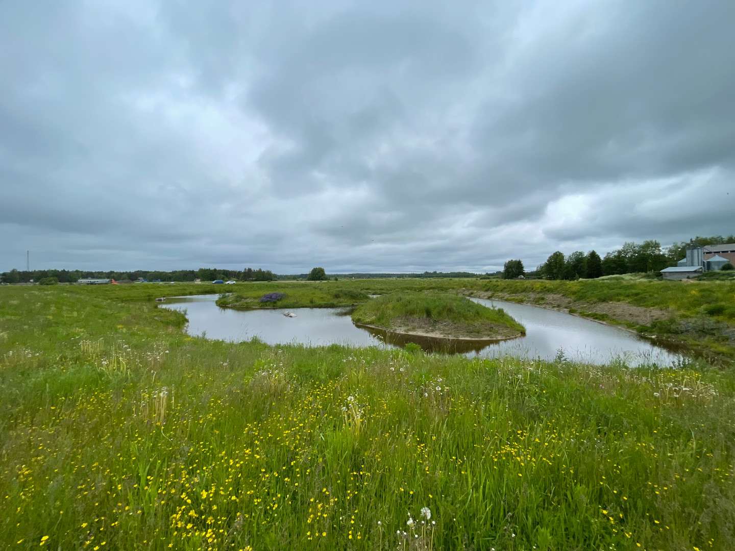 Katajaojan valuma-alue (53.026)-Taanilan kosteikko-ObsIMG-202506241327-1750973584905.png
