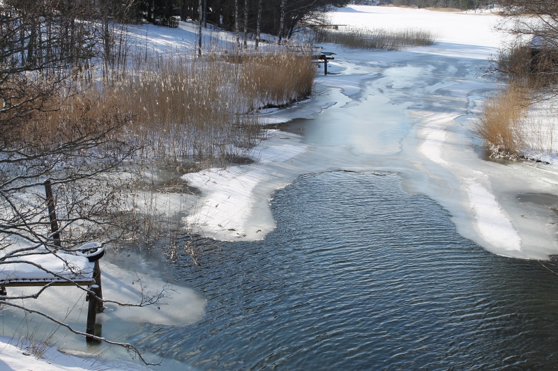 Tiedosto:Räys 034 (800x533).jpg