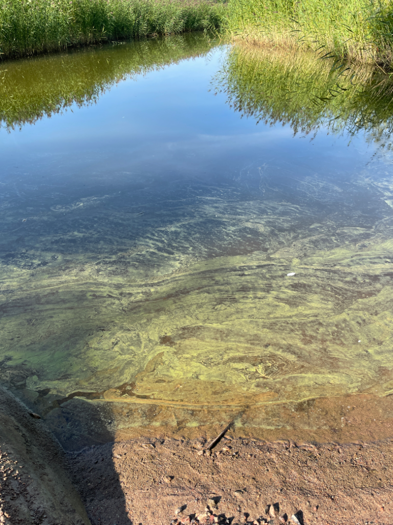 Pikku Pernajanlahti-Yliken venelaituri-ObsIMG-202207211744-62d9671f93eb0.png