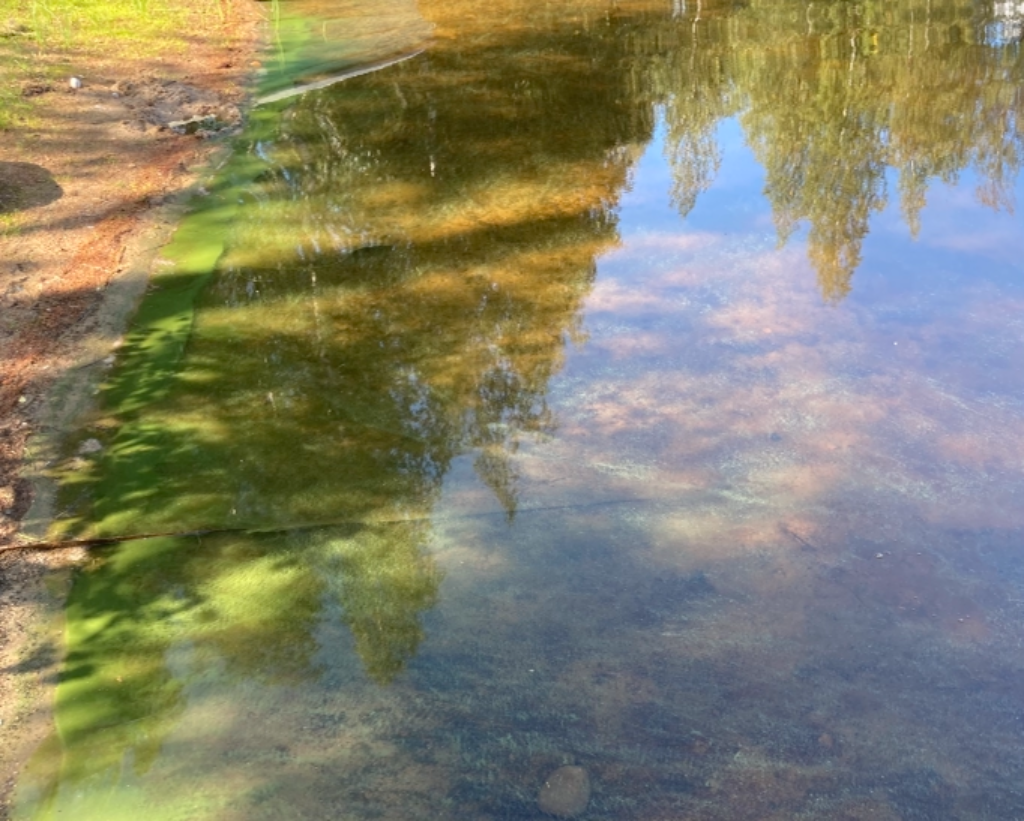 Taivaljärvi eli Ristijärvi (35.418.1.002)-Havaintopaikka 1-ObsIMG-202108292011-612bc0b75b260.png