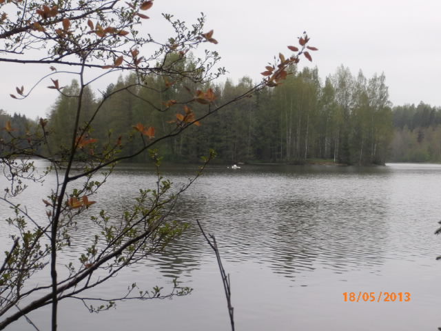 Dammanin saari 10.JPG