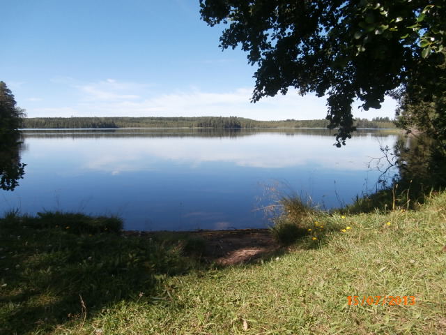 Niemenjärvi 2.JPG