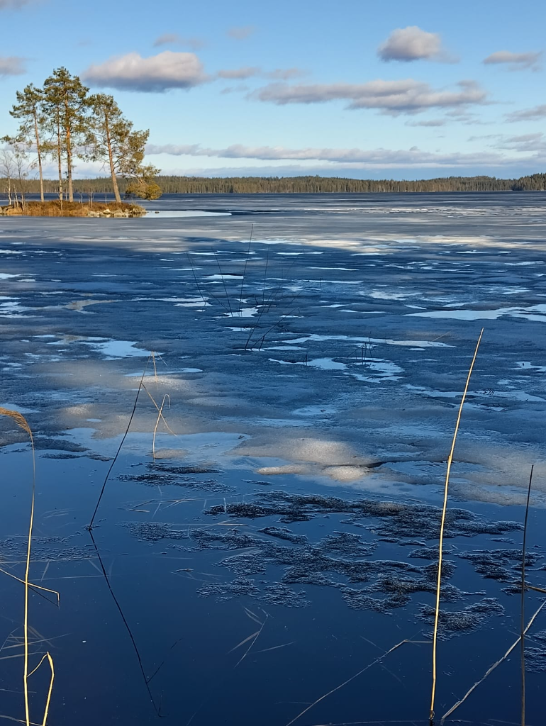 Suurijärvi (04.792.1.002)-Pieni Sarviniemi-ObsIMG-202405020920-6633312b6fb0d.png