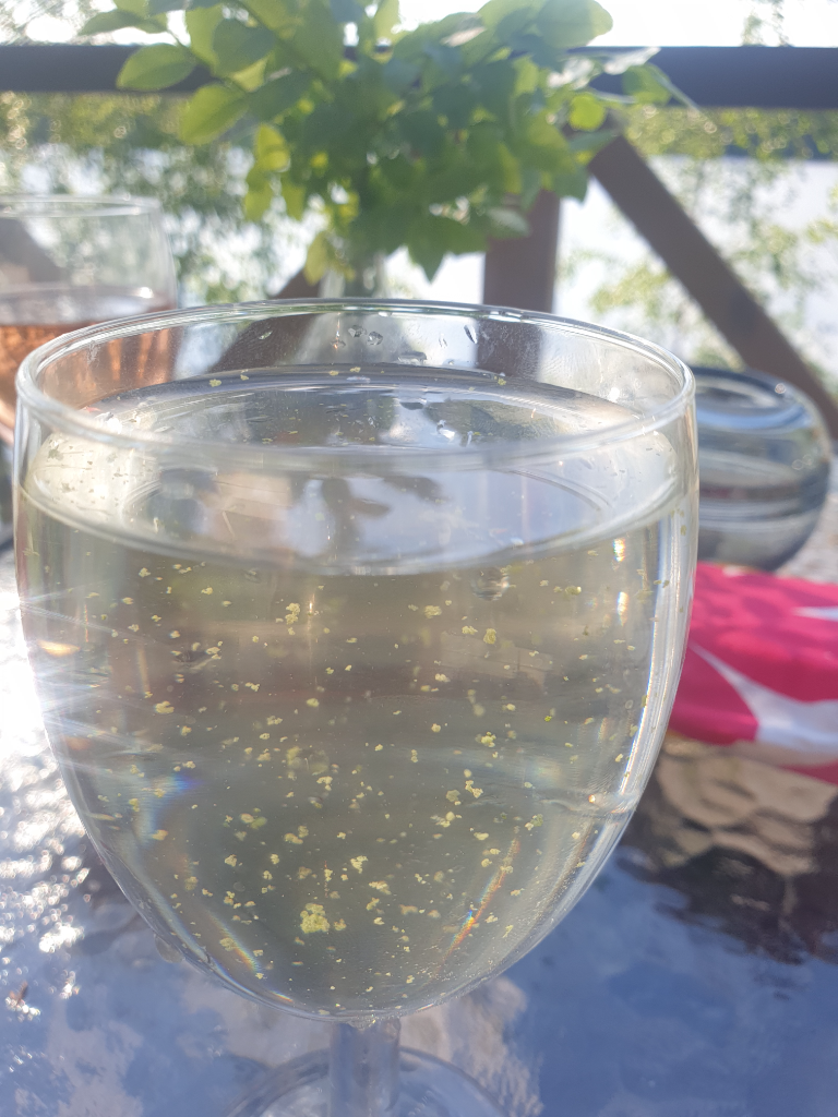 Valkjärvi (24.033.1.010)-Havaintopaikka 1-ObsIMG-202106110018-60c281fe6e86d.png