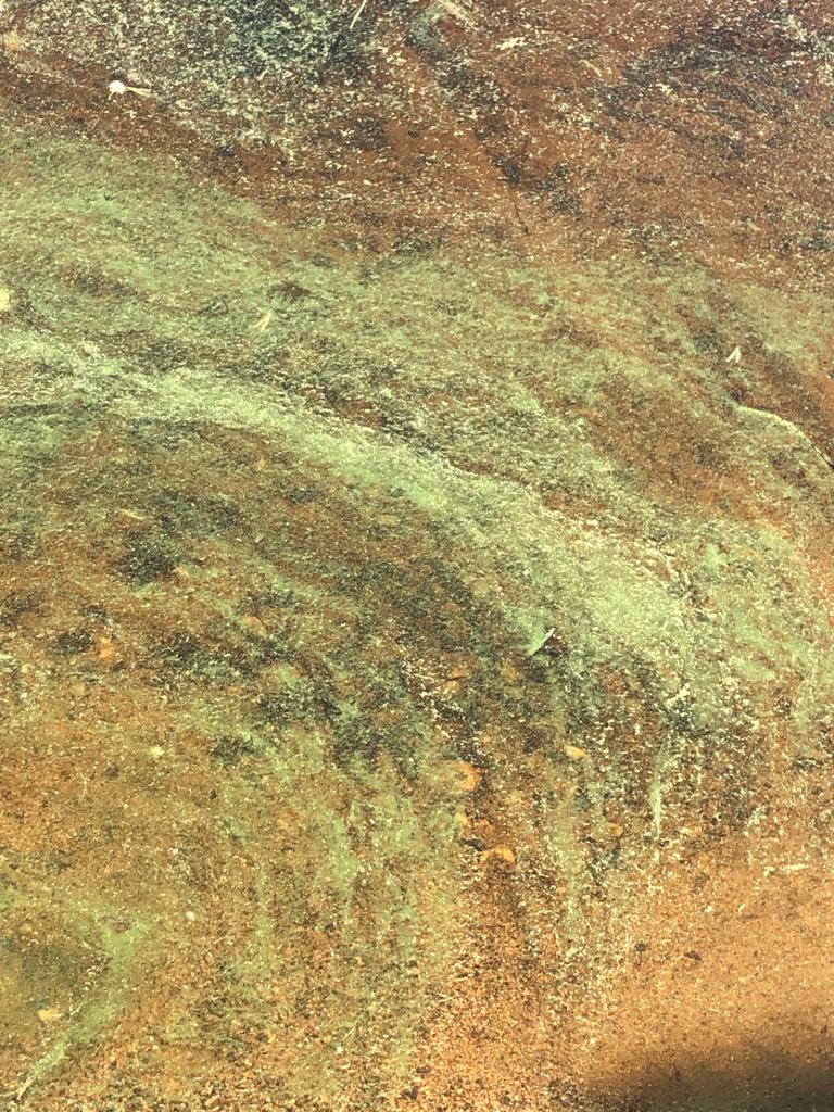 Alanteenjärvi - Parvajärvi (59.612.1.001)-Havaintopaikka 1-ObsIMG-202006211512-48.jpeg