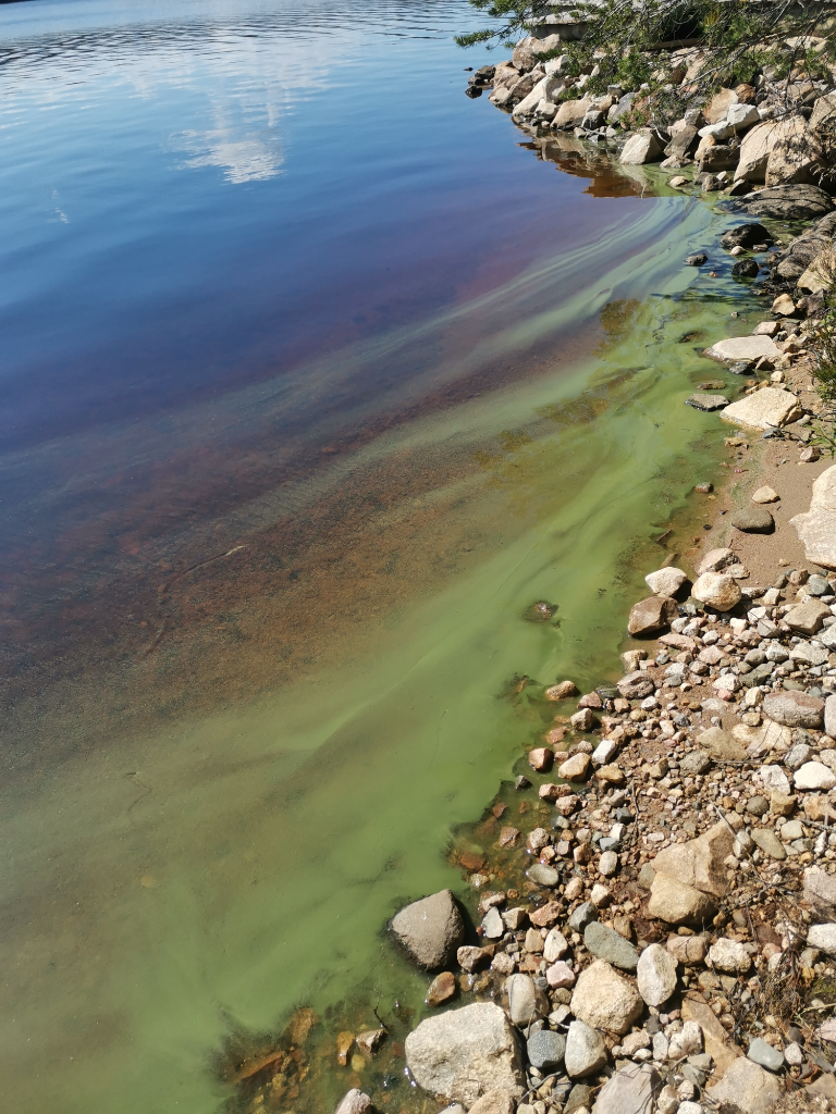 Kiantajärvi (yhd.)-Havaintopaikka 1-ObsIMG-202107031210-60e06a6aa452e.png