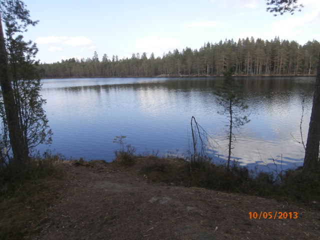 Iso Lehmalampi 13.JPG