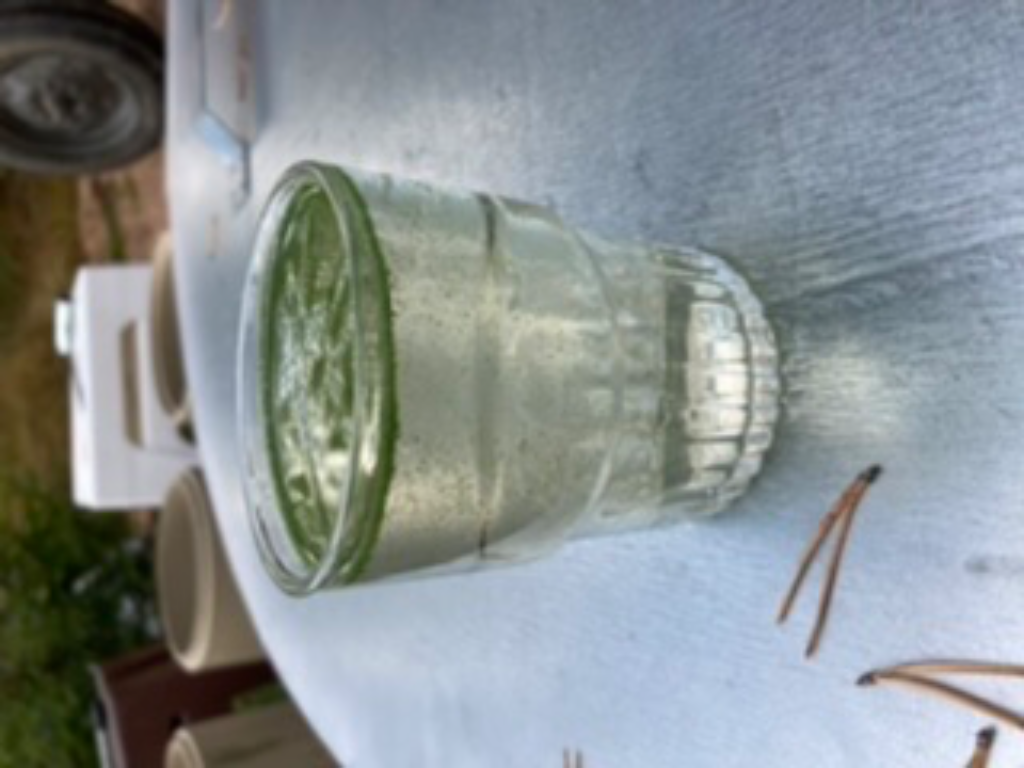 Tuhnajajärvi (65.516.1.012)-Tuhnaja-ObsALG-202209111440-631e0cce6e853.png