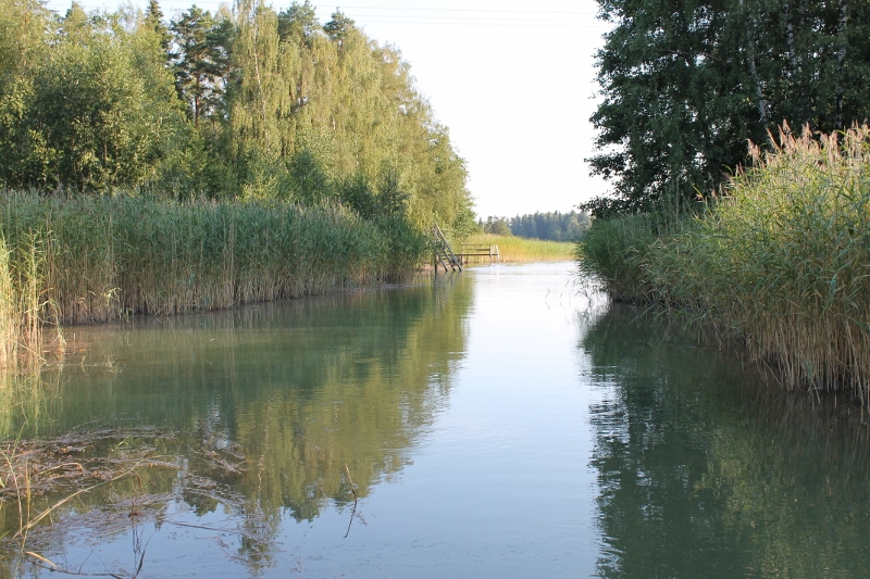 Tiedosto:Rodh 0549 (800x533).jpg