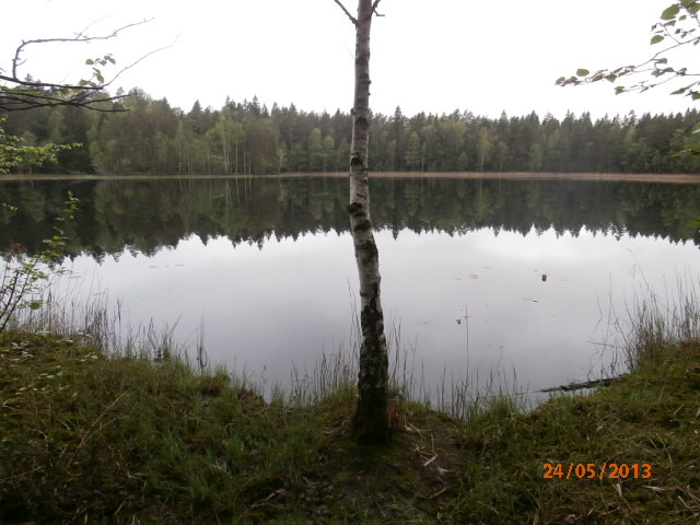 Gumböle träsk 2.JPG