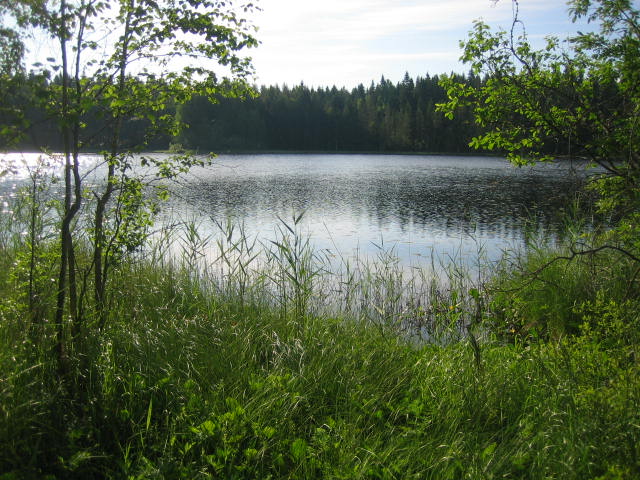 Sahinlampi levahdysalue.JPG