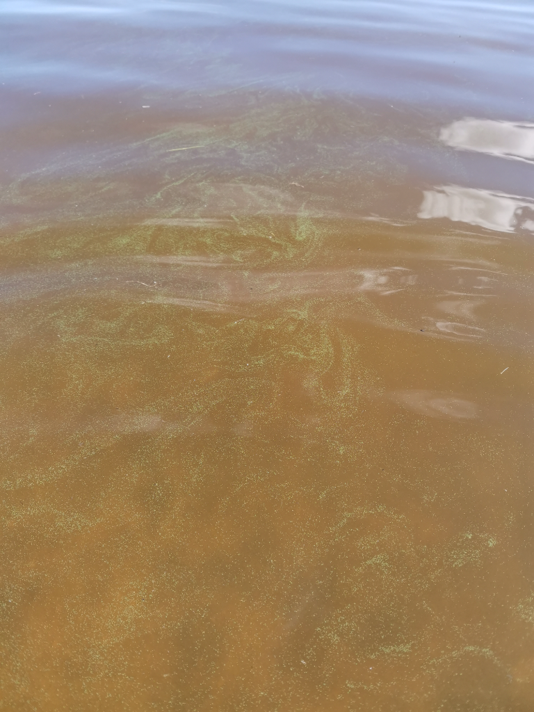 Ylläsjärvi (67.372.1.001)-Ylläsjärven lähiliikunta- ja leikkipuiston uimaranta-ObsIMG-202307101732-64ac1720436d5.png