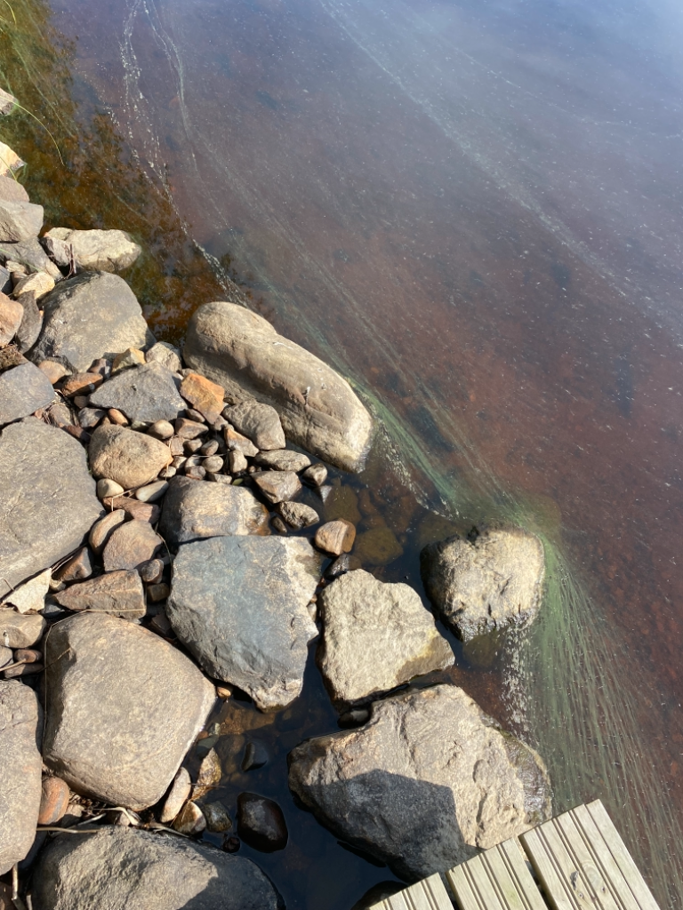 Paloisjärvi - Kilpijärvi (04.581.1.001)-Havaintopaikka 1-ObsIMG-202108121039-6114d08d3fe6f.png