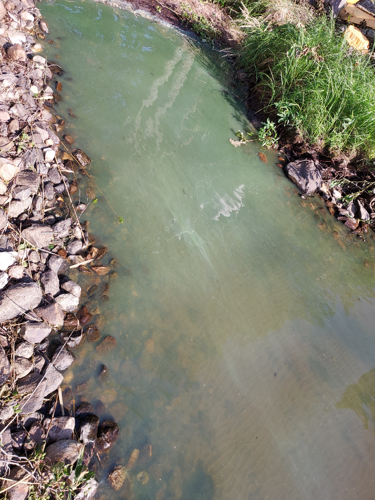 Nilakka (14.731.1.001)-Kemilännlemi-ObsALG-202107261725-60fec6cb7122b.png