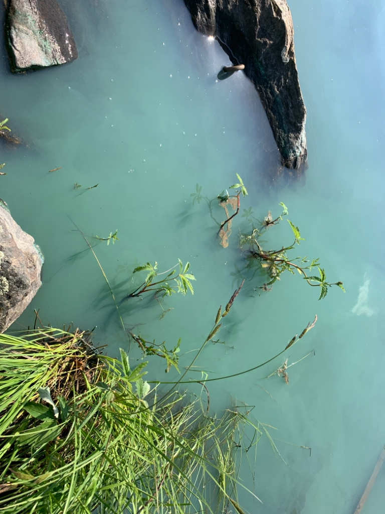 Jääsjärvi (14.821.1.001)-Pääsaarentie-ObsALG-202106191630-60cdf2060d085.png