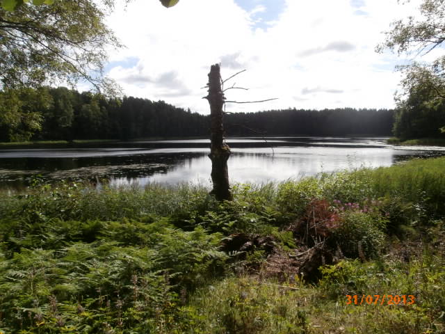 Vähä Myllylampi 2.JPG