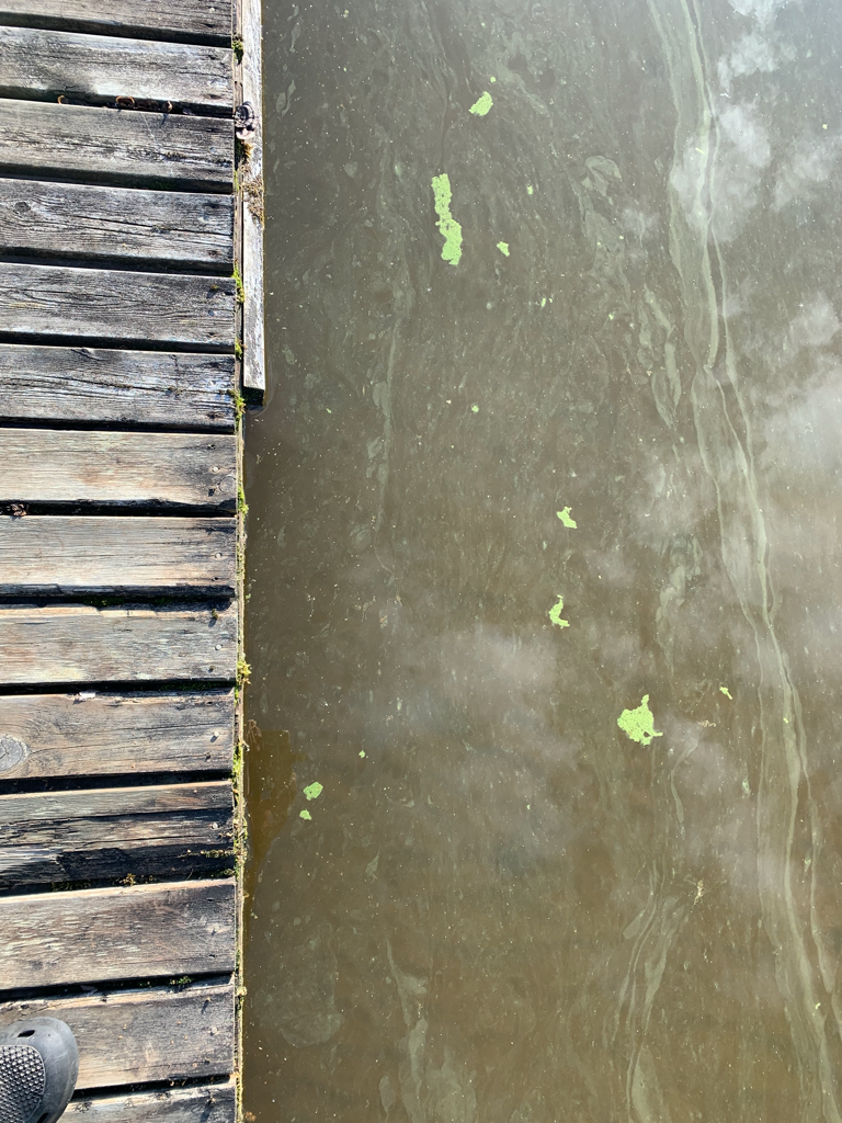 Naavanen (04.693.1.001)-Kouvupiha Viitamäentie 134-ObsIMG-202108050851-610e233da3664.png