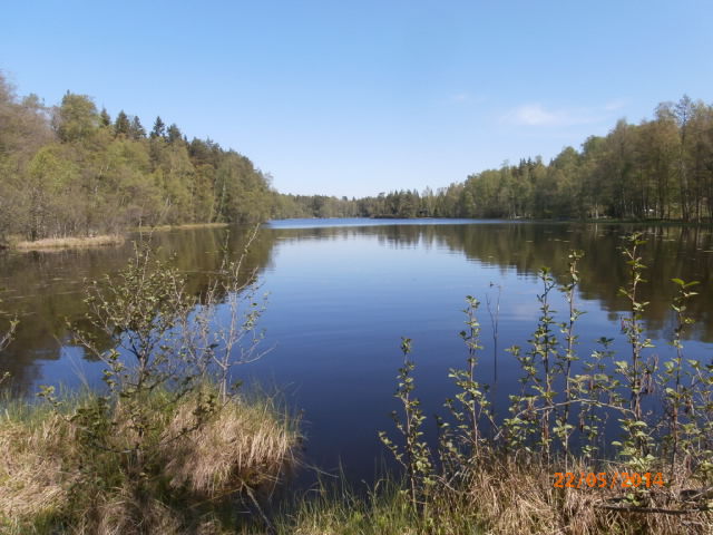 Sommarvägsträsket lounas 1.JPG