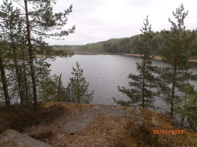 Svartbacktrasket 01.JPG