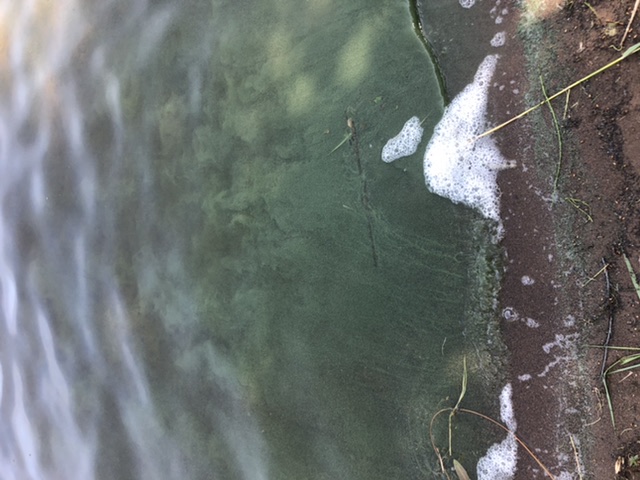 Tiedosto:Haukivesi (Saimaa) (04.211.1.001)-Havaintopaikka 6-ObsIMG-202006241151-2.jpeg