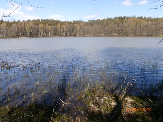 Svartträsket etelä.JPG