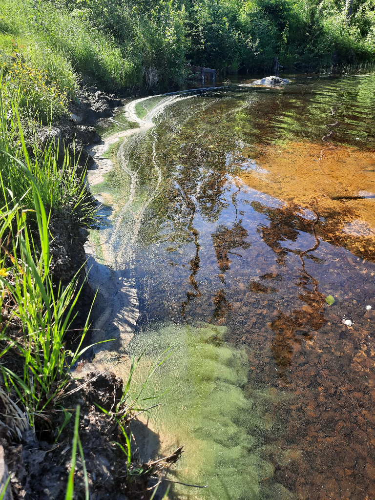 Ala-Kintaus (14.552.1.001)-Alkula-ObsIMG-202206251033-62b6bb909281c.png