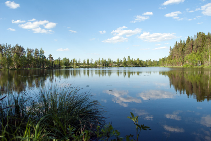 Murtolampi 2.6.2018 740px.jpg