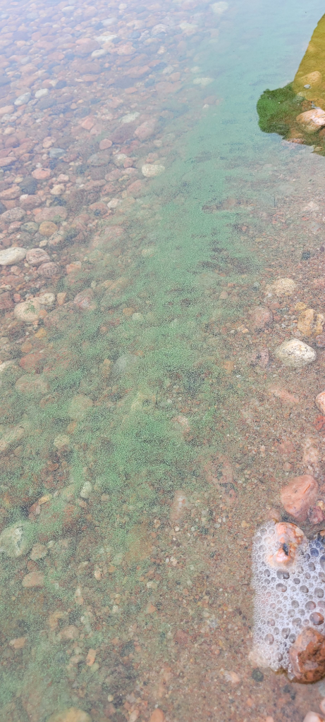 Saimaa (04.112.1.001)-Hiidenhiekka-ObsIMG-202207121200-62cfc356da77e.png