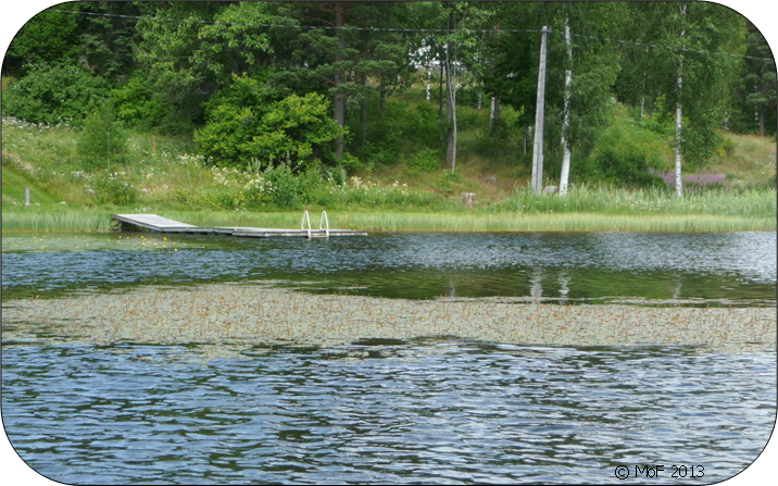 Gäddnate (Jarvivwiki).png