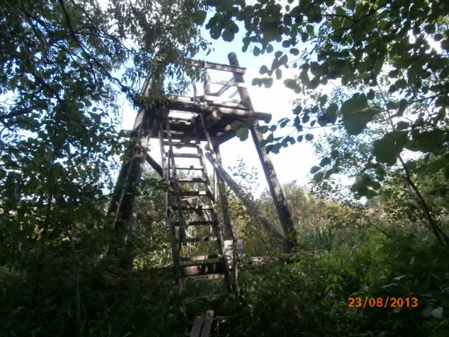 Paalijärven lintutorni 3.JPG