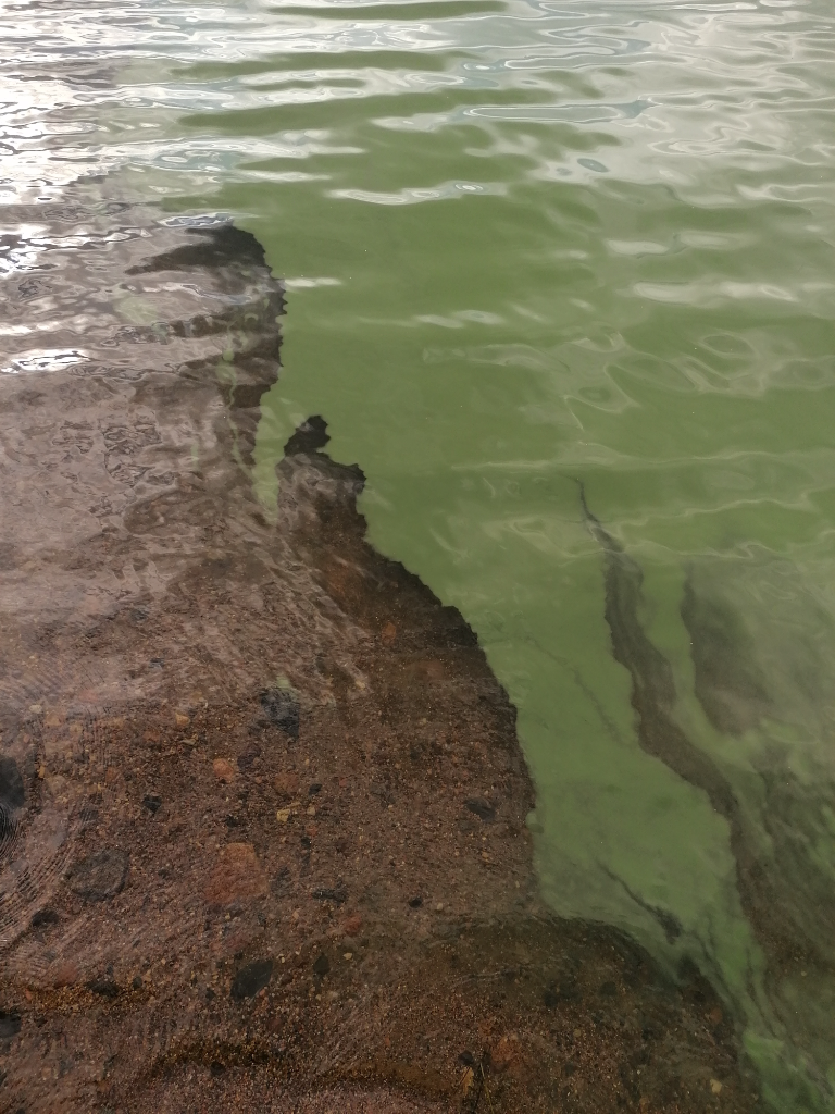 Rukajärvi (73.053.1.002)-Tahkolanrannantie-ObsALG-202309031505-64f47643c57f2.png