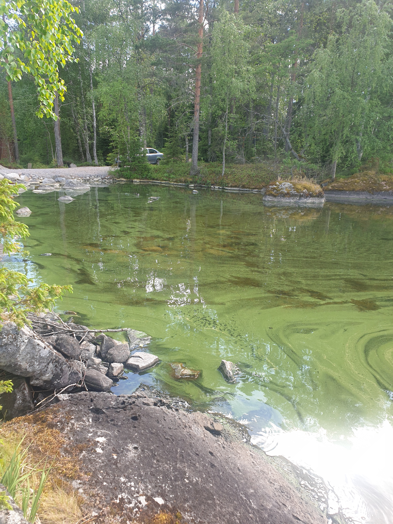 Pyhäjärvi (04.391.1.001)-Hepokallio-ObsIMG-202106171006-60cc46d221c52.png