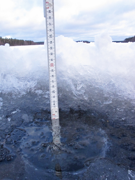 Sääksjärvi (23.097.1.002)-Havaintopaikka 1-ObsICE-201812261357-50.jpg