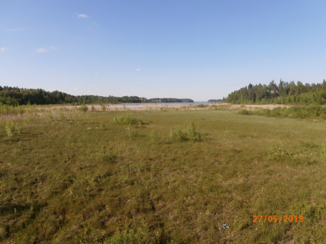 Tuusulanjarven lintutornista.JPG