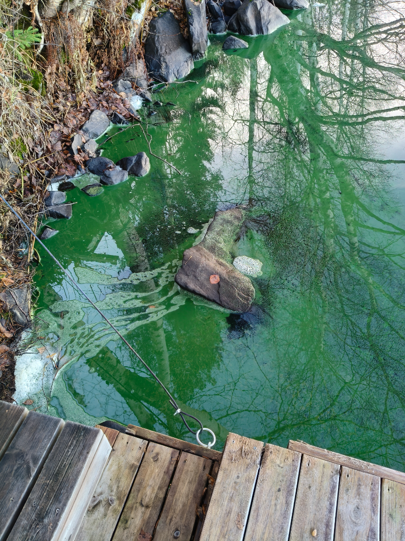 Ätäskö (04.392.1.001)-Lahdenkalliontie 11, Kitee-ObsIMG-202511100914-69119133122e0.png