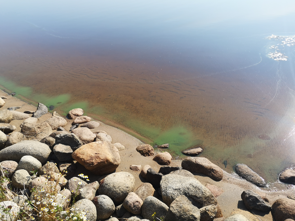 Jyväsjärvi (14.231.1.001)-Lutakon uimaranta-ObsIMG-202107261013-60fe60f74c579.png