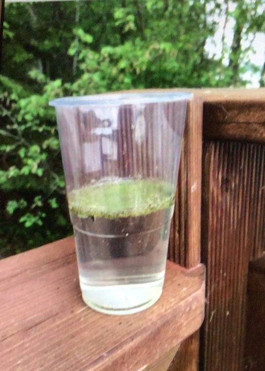 Valkjärvi (36.019.1.001)-Valkjärvi, Niementie 133-ObsIMG-201906161132-66.jpeg