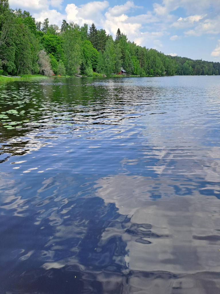 Vihnusjärvi (35.213.1.001)-Valtakunnallinen sinileväseuranta-ObsIMG-202306211654-6493019a8c45b.png