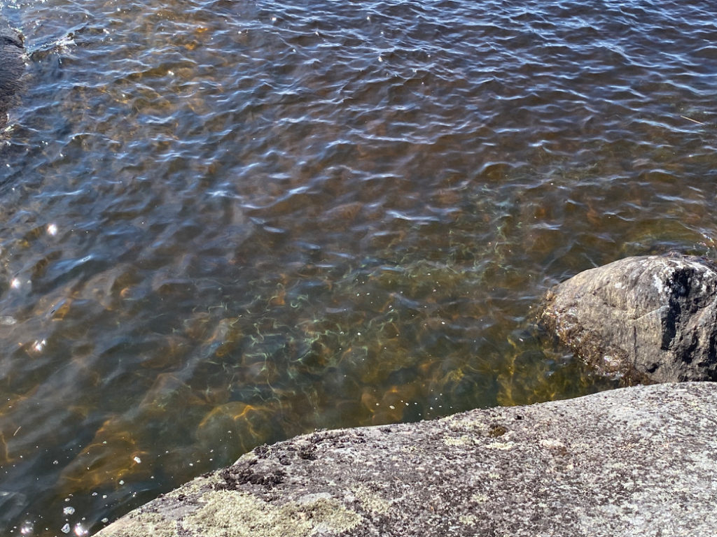 Saimaa (04.112.1.001)-Rokansaari Hiisivuori-ObsIMG-202307111451-64ad61f09688c.png