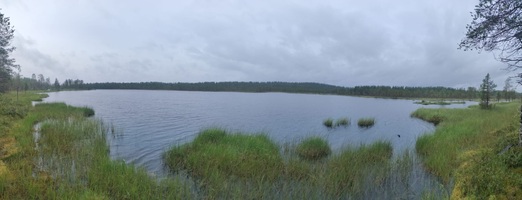 Vilponlampi (74.032.1.018)-Pohjoispää-ObsIMG-202307291902-64c53881d2c2b.png