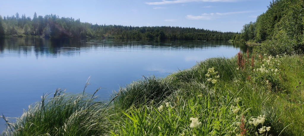 Madetkosken alue (65.822)-Peurasuvanto-ObsIMG-202307101532-64abfa538d31f.png